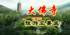 一级日逼小黄片中国浙江-新昌大佛寺旅游风景区